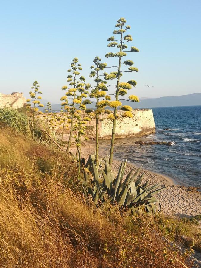Iliana Ξενοδοχείο Πρέβεζα Εξωτερικό φωτογραφία